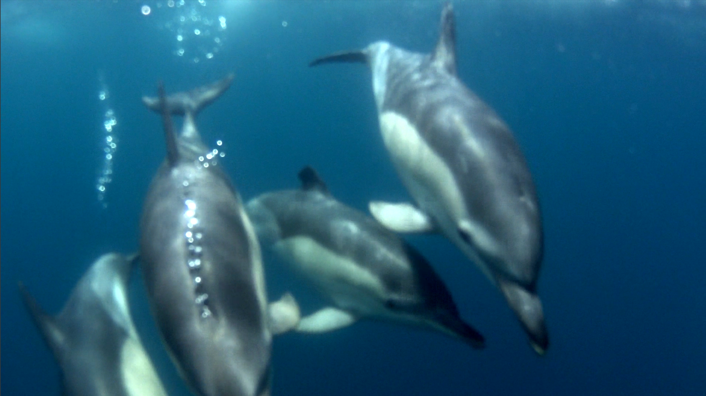Traversée de l'Atlantique en voilier